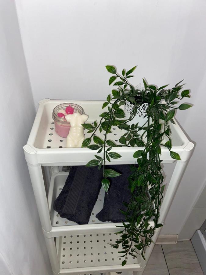 Apartament Grunwaldzka Bydgoszcz Zewnętrze zdjęcie